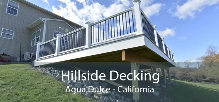 Hillside Decking Agua Dulce - California