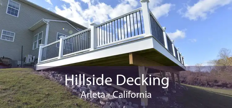 Hillside Decking Arleta - California