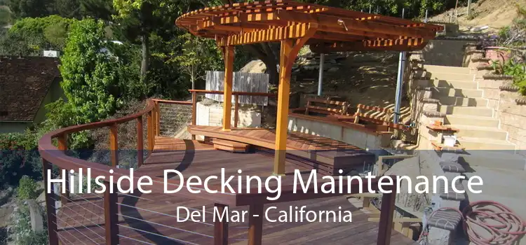 Hillside Decking Maintenance Del Mar - California