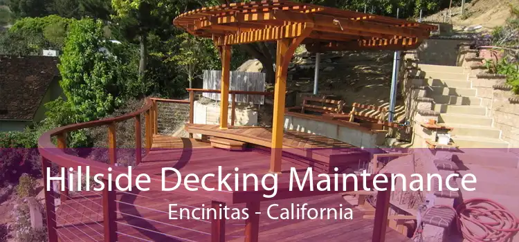 Hillside Decking Maintenance Encinitas - California