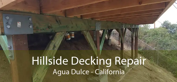 Hillside Decking Repair Agua Dulce - California