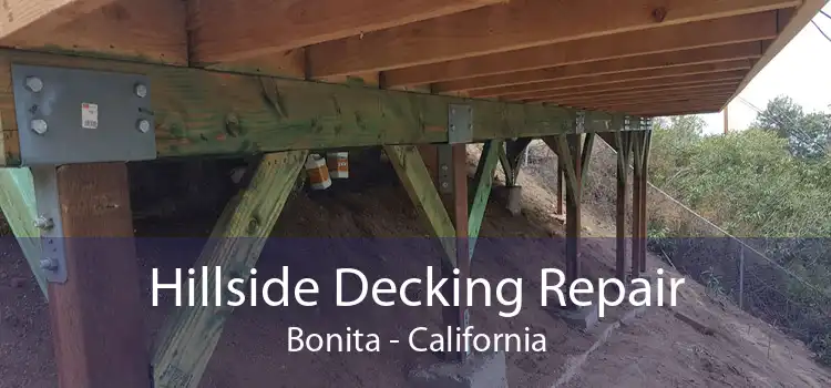 Hillside Decking Repair Bonita - California