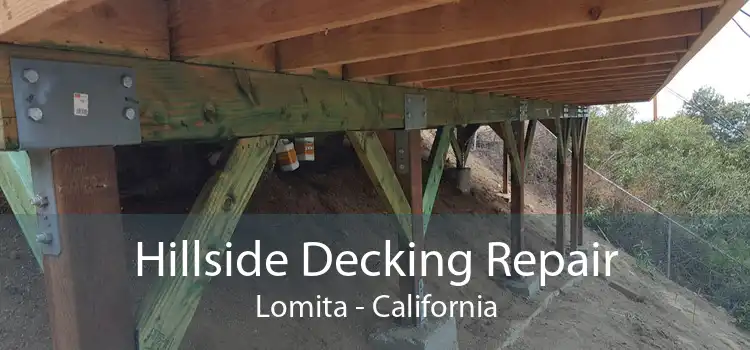 Hillside Decking Repair Lomita - California